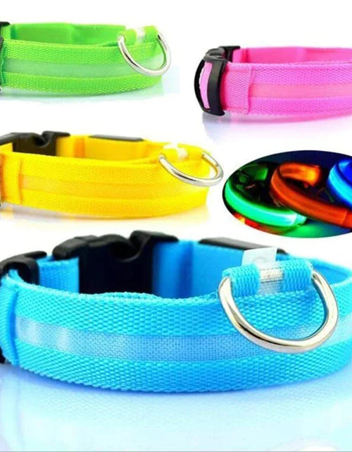 Load image into Gallery viewer, LED Adjustable Dog Collar Blinking Flashing Light up Glow Pets Safety Waterproof
