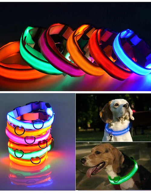 Load image into Gallery viewer, LED Adjustable Dog Collar Blinking Flashing Light up Glow Pets Safety Waterproof
