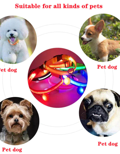 Load image into Gallery viewer, LED Adjustable Dog Collar Blinking Flashing Light up Glow Pets Safety Waterproof
