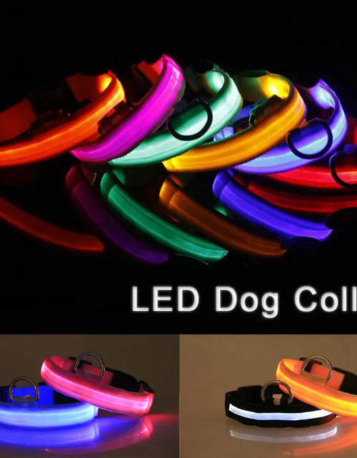 Load image into Gallery viewer, LED Adjustable Dog Collar Blinking Flashing Light up Glow Pets Safety Waterproof
