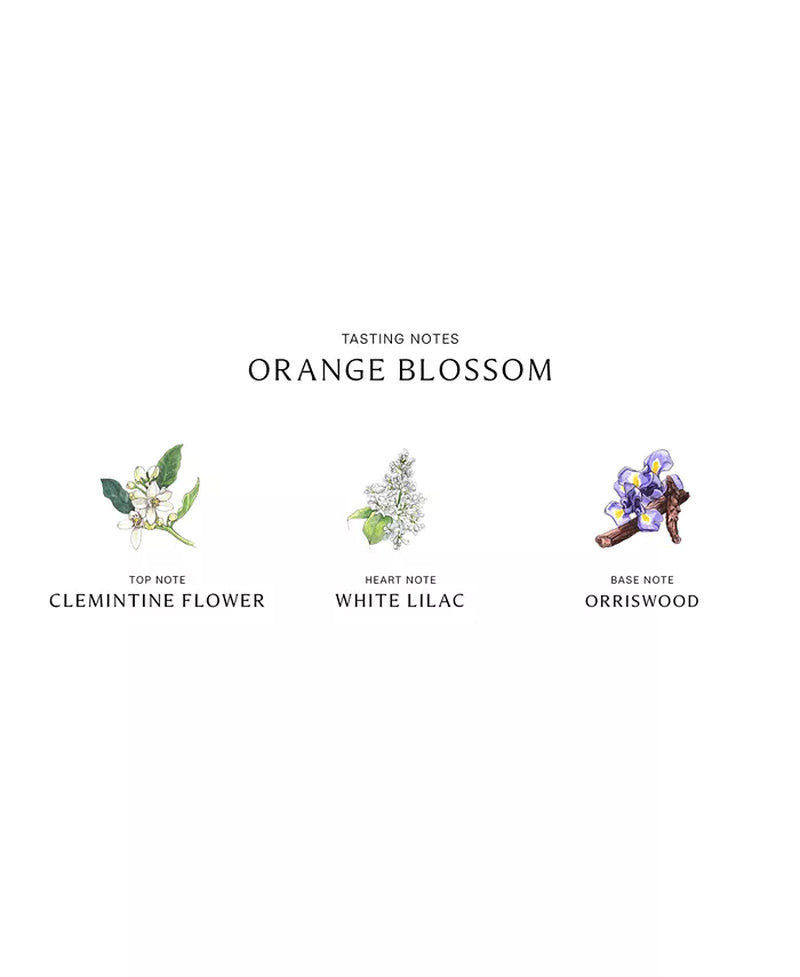 Orange Blossom Cologne, 3.4-Oz.