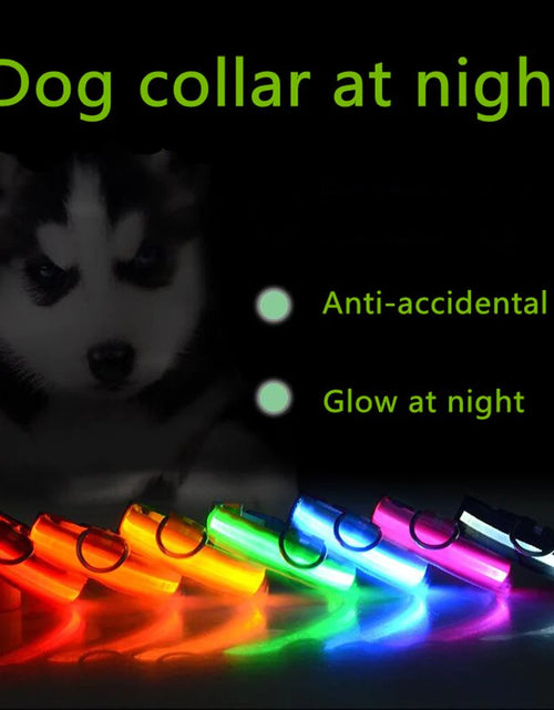 Load image into Gallery viewer, LED Adjustable Dog Collar Blinking Flashing Light up Glow Pets Safety Waterproof
