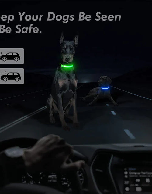 Load image into Gallery viewer, LED Adjustable Dog Collar Blinking Flashing Light up Glow Pets Safety Waterproof
