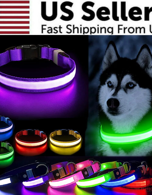 Load image into Gallery viewer, LED Adjustable Dog Collar Blinking Flashing Light up Glow Pets Safety Waterproof
