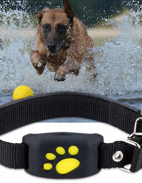 Load image into Gallery viewer, Pet GPS Tracker Collar
