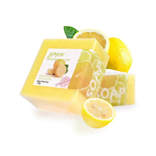 Load image into Gallery viewer, Papaya Angelica Ginger Slices Soap
