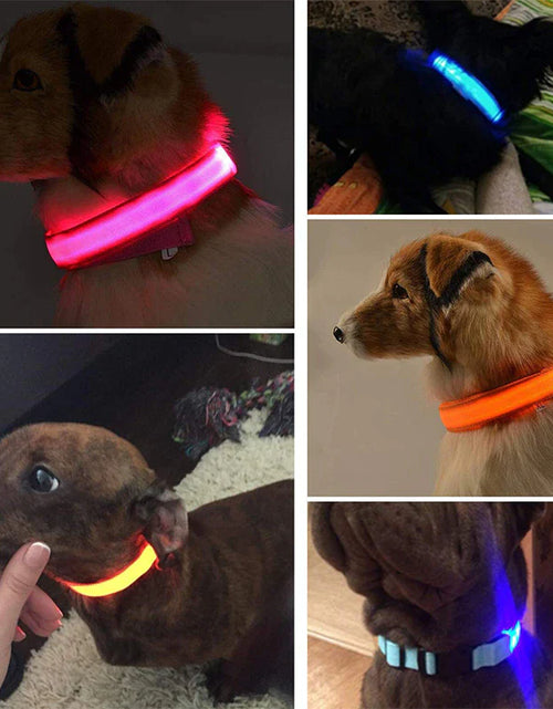 Load image into Gallery viewer, LED Adjustable Dog Collar Blinking Flashing Light up Glow Pets Safety Waterproof
