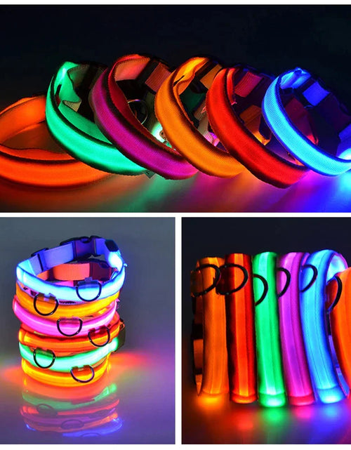 Load image into Gallery viewer, LED Adjustable Dog Collar Blinking Flashing Light up Glow Pets Safety Waterproof
