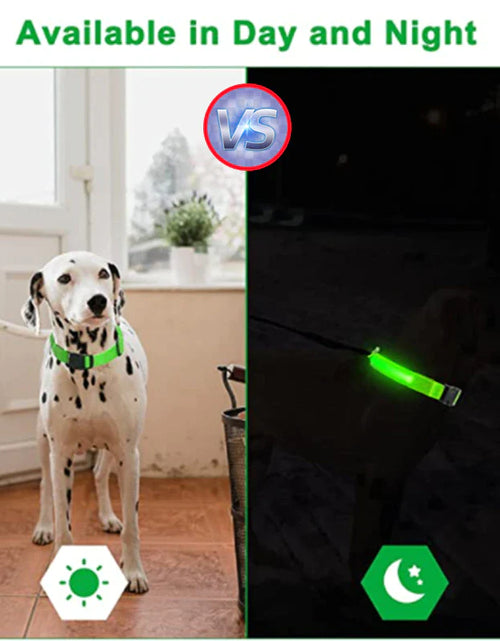 Load image into Gallery viewer, LED Adjustable Dog Collar Blinking Flashing Light up Glow Pets Safety Waterproof
