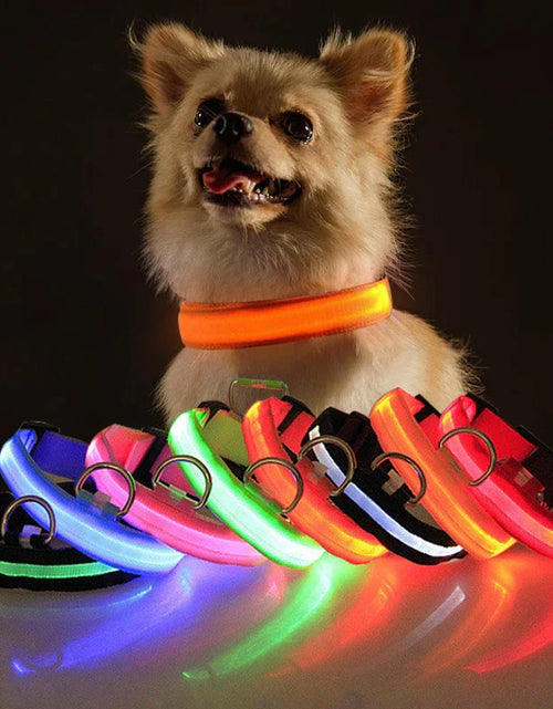 Load image into Gallery viewer, LED Adjustable Dog Collar Blinking Flashing Light up Glow Pets Safety Waterproof
