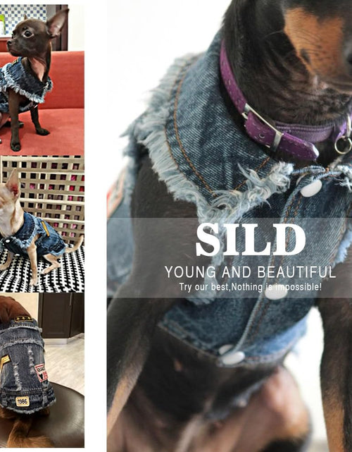 Load image into Gallery viewer, Pet Clothes Dog Jeans Jacket Cool Blue Denim Coat Small Medium Puppy Blue Vintage Washed Clothes Dogs Lapel Vests Classic Hoodies
